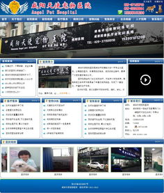 咸陽天使寵物醫(yī)院攜手萬企互聯(lián) 專業(yè)數(shù)字營銷與動漫設(shè)計賦能品牌新生態(tài)